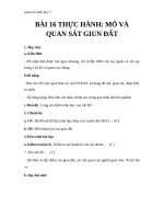 Giáo án Sinh học 7 bài 16: Thực hành mổ và quan sát giun đất