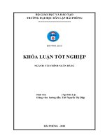 Một số giải pháp nâng cao hiệu quả hoạt động tín dụng đối với hộ nghèo của ngân hàng chính sách xã hội quận hồng bàng, hải phòng   