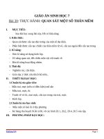 Giáo án Sinh học 7 bài 20: Thực hành quan sát một số thân mềm