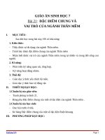 Giáo án Sinh học 7 bài 21: Đặc điểm chung và vai trò của ngành thân mềm