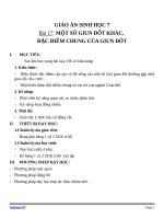 Giáo án Sinh học 7 bài 17: Một số giun đốt khác và đặc điểm của ngành giun đốt