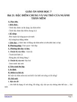 Giáo án Sinh học 7 bài 21: Đặc điểm chung và vai trò của ngành thân mềm