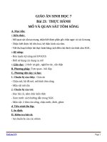 Giáo án Sinh học 7 bài 23: Thực hành mổ và quan sát tôm sống