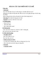 Giáo án Sinh học 6 bài 10: cấu tạo miền hút của rễ