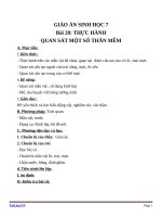 Giáo án Sinh học 7 bài 20: Thực hành quan sát một số thân mềm