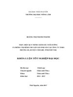 Thực hiện quy trình chăm sóc nuôi dưỡng và phòng trị bệnh cho lợn nái sinh sản tại công ty TNHH phương hà, xã hương lung   huyện cẩm khê   tỉnh phú thọ 