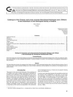 Abhandlungen der k. k. geologischen Reichsanstalt 65-0065-0075