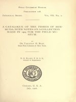 A CATALOGUE OF THE FISHES OF BERMUDA, WITH NOTES ON A COLLECTION MADE IN 1905 FOR THE FIELD MUSEUM, ELLIOT 1906