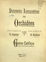 Dictionnaire Iconographique des Orchidées Cattleya