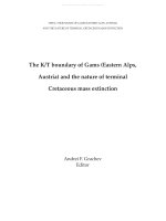 Abhandlungen der k. k. geologischen Reichsanstalt 63-0001-0199