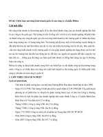  chiến lược mở rộng kinh doanh quốc tế của công ty cổ phần bibica dựa trên phân tích tài chính 