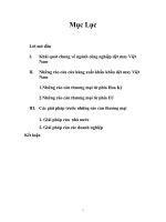 Luận văn thuận lợi, khó khăn và rào cản thương mại của các nước nhập khẩu hàng dệt may việt nam 