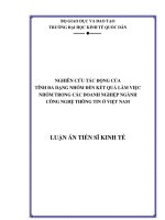 Nghiên cứu tác động của tính đa dạng nhóm đến kết quả làm việc nhóm trong các doanh nghiệp ngành công nghệ thông tin ở việt nam 