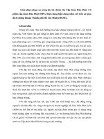  giải pháp nâng cao năng lực tài chính cho tập đoàn hòa phát  cổ phiếu tập đoàn hòa phát (HPG) v 