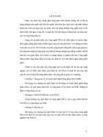 Nghiên cứu về SDR, nắm được cách thiết kế với FPGA và thiết kế mô hình một máy thu số tín hiệu FM bằng phần mềm