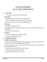 Giáo án Sinh học 7 bài 32: Thực hành mổ cá