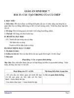 Giáo án Sinh học 7 bài 33: Cấu tạo trong của cá chép