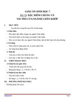 Giáo án Sinh học 7 bài 29: Đặc điểm chung và vai trò của ngành chân khớp