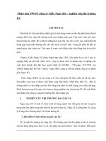   phân tích SWOT công ty giầy ngọc hà – nghiên cứu thị trường EU 