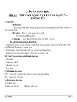 Giáo án Sinh học 7 bài 1: Thế giới động vật đa dạng, phong phú