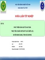 PHÁT TRIỂN sản XUẤT ổi AN TOÀN THEO TIÊU CHUẨN VIETGAP tại xã HIỆP lực, HUYỆN NINH GIANG, TỈNH hải DƯƠNG 