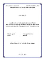 TÓM tắt TIÊNG VIEETK  nghiên cứu sự biểu hiện của gen mã hóa methionine sulfoxide reductase trong điều kiện stress mặn, hạn ở cây arabidopsis và đậu tương