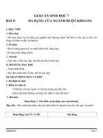 Giáo án Sinh học 7 bài 9: Đa dạng của ngành ruột khoang