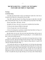   bài tập marketing – nghiên cứu thị trường xuất khẩu sản phẩm gõ trạm khảm v 