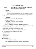 Giáo án Sinh học 7 bài 10: Đặc điểm chung và vai trò của ngành ruột khoang