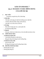 Giáo án Sinh học 7 bài 27: Đa dạng và đặc điểm chung của lớp sâu bọ