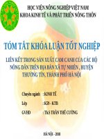 LIÊN kết TRONG sản XUẤT CAM CANH của các hộ NÔNG dân TRÊN địa bàn xã tự NHIÊN , HUYỆN THƯỜNG tín, THÀNH PHỐ hà nội 