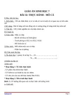 Giáo án Sinh học 7 bài 32: Thực hành mổ cá