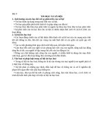 Bài 9 tin hoc và xã hội