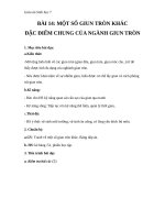 Giáo án Sinh học 7 bài 14: Một số giun tròn khác và đặc điểm chung của ngành giun tròn