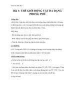 Giáo án Sinh học 7 bài 1: Thế giới động vật đa dạng, phong phú