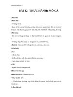 Giáo án Sinh học 7 bài 32: Thực hành mổ cá