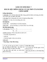 Giáo án Sinh học 7 bài 29: Đặc điểm chung và vai trò của ngành chân khớp