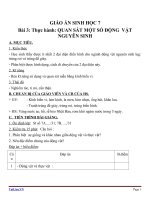 Giáo án Sinh học 7 bài 3: Thực hành quan sát một số động vật nguyên sinh