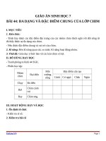 Giáo án Sinh học 7 bài 44: Đa dạng và đặc điểm chung của lớp chim