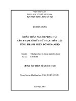 Nhân thân người phạm tội xâm phạm sở hữu từ thực tiễn các tỉnh, thành miền Đông Nam bộ (Luận án tiến sĩ)