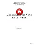 Tiểu luận m a trends in the world and in vietnam 