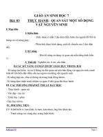 Giáo án Sinh học 7 bài 3: Thực hành quan sát một số động vật nguyên sinh
