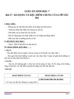 Giáo án Sinh học 7 bài 27: Đa dạng và đặc điểm chung của lớp sâu bọ