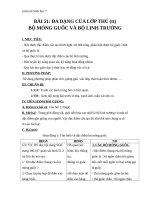 Giáo án Sinh học 7 bài 51: Đa dạng của lớp thú( tiếp theo) các bộ mống guốc và bộ linh trưởng