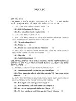 Thúc đẩy hoạt động xuất khẩu gạo tại công ty cổ phần xuất nhập khẩu và hợp tác đầu tư vilexim 