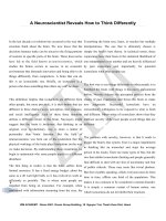 IELTS academic reading sample 51   the history of the tortoise 