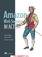 Amazon web services in action 