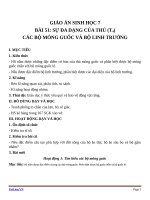 Giáo án Sinh học 7 bài 51: Đa dạng của lớp thú( tiếp theo) các bộ mống guốc và bộ linh trưởng