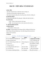 Giáo án Sinh học 7 bài 55: Tiến hóa về sinh sản