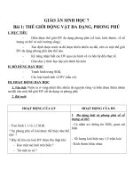 Giáo án Sinh học 7 bài 1: Thế giới động vật đa dạng, phong phú